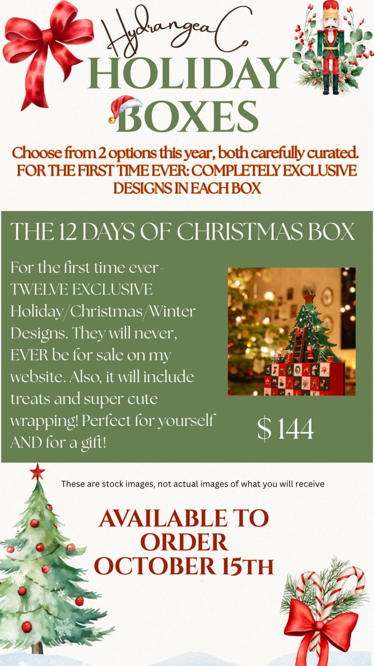The 12 Days of Christmas Box
