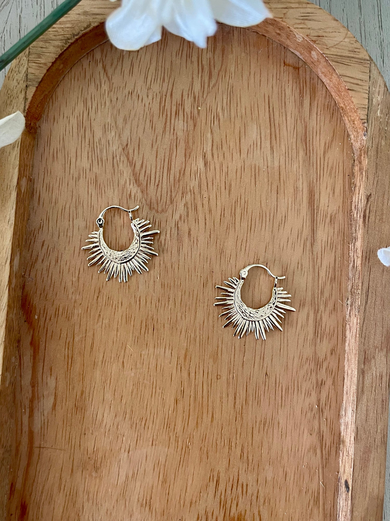 Gold Filled Spike Hoops